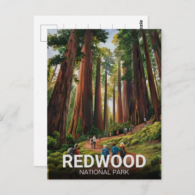 Redwood National Staat Park, Küste Kalifornien Postkarte (Vorne/Hinten)