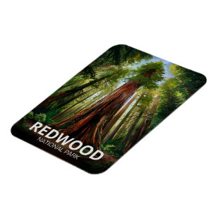 Redwood National State Park, Küstenkalifornien Magnet