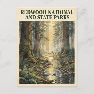 Redwood National und State Parks Vintage Postkarte