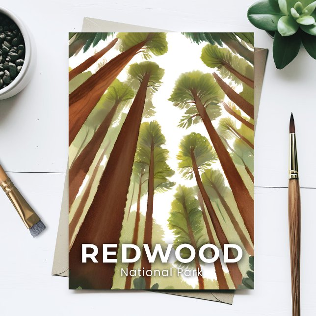 Redwood-Nationalpark | Aquarellwald Postkarte (Von Creator hochgeladen)