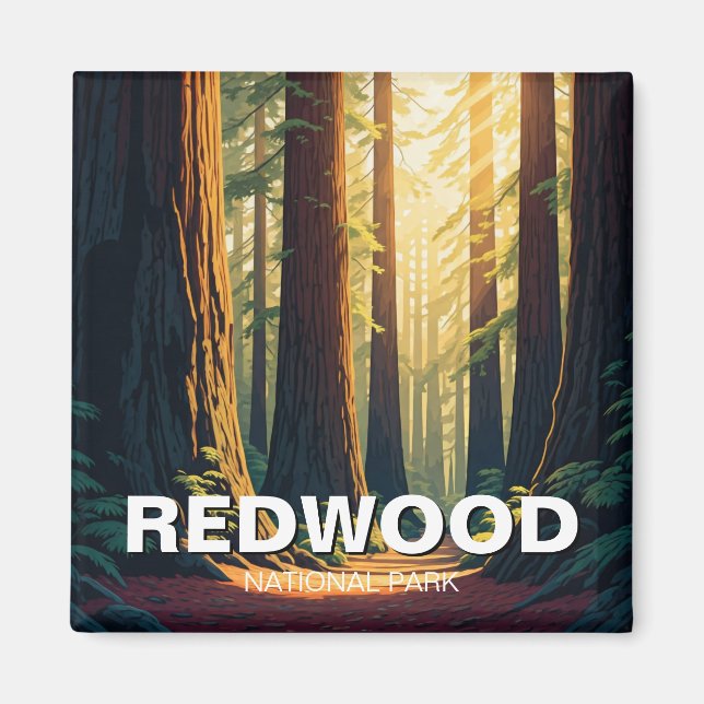 Redwood Nationalpark California Magnet (Vorne)