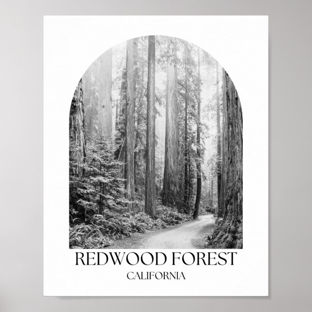 Redwood Nationalpark California Poster (Vorne)