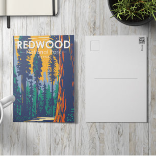 Redwood Nationalpark California Vintag Postkarte