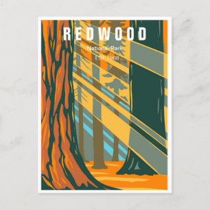 Redwood Nationalpark California Vintager Wald Postkarte
