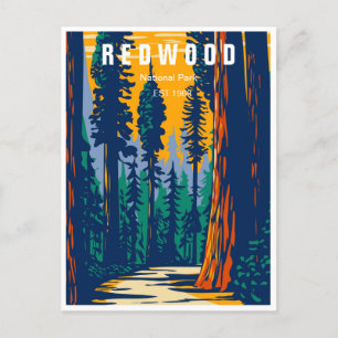 Redwood Nationalpark California Vintager Wald Postkarte