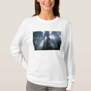 Redwood-Nationalpark, Del Norte County, neblig T-Shirt