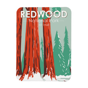 Redwood Nationalpark im Winter Kalifornien Vintage Magnet