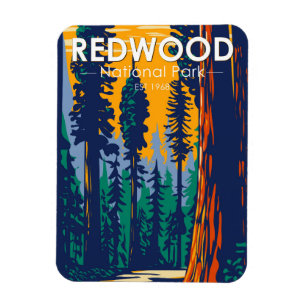 Redwood Nationalpark Kalifornien Vintage Magnet
