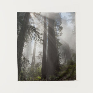 Redwood-Nationalpark Kalifornien Wandteppich