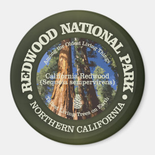 Redwood-Nationalpark Magnet
