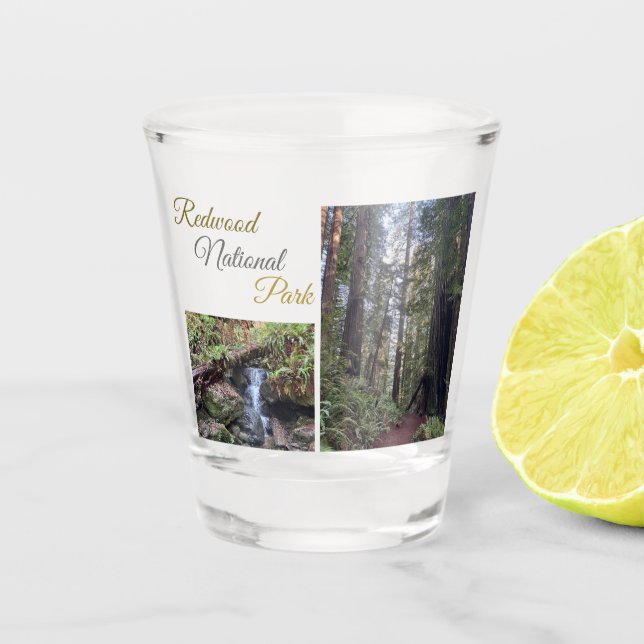 Redwood-Nationalpark-Shotglas Schnapsglas (Vorderseite)