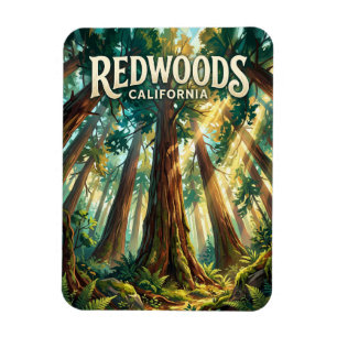 Redwood-Nationalpark USA Magnet
