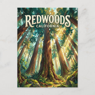 Redwood-Nationalpark USA Postkarte