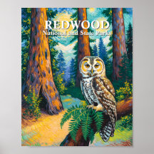 Redwood-Nationalpark Wald Eule Van Gogh Stil