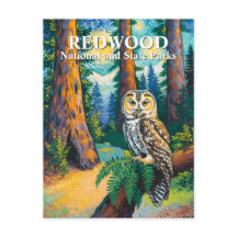 Redwood-Nationalpark Wald Eule Van-Gogh-Stil