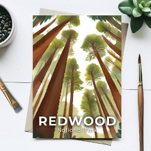 Redwood-Nationalpark   Wasserfarben Hoher Wald Postkarte