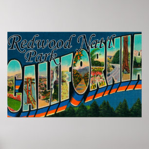 Redwood Nat'l Park, Kalifornien Poster
