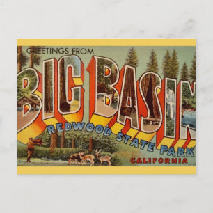 Redwood Park Postcard Big Basin Postkarte