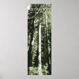 Redwood Print, National Park Poster, 12x36" Poster