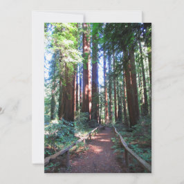 Redwood Trail Norther California Einladung