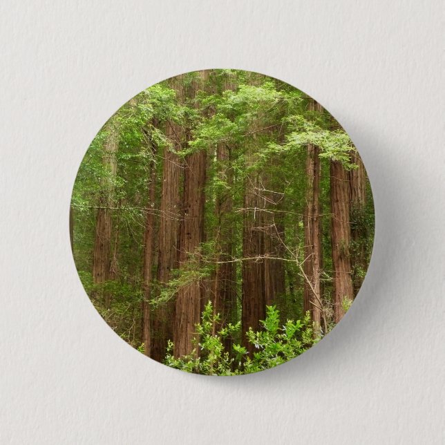 Redwood Trees at Muir Woods National Monument Button (Vorderseite)