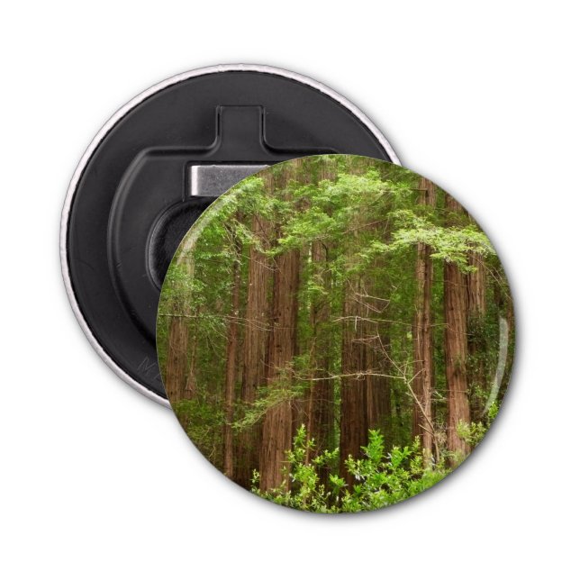 Redwood Trees at Muir Woods National Monument Flaschenöffner (Vorderseite)