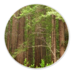 Redwood Trees at Muir Woods National Monument Keramikknauf