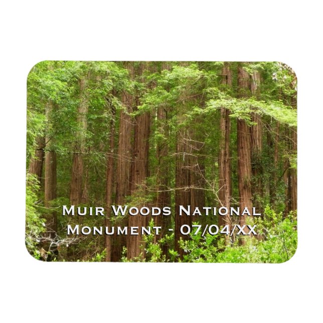 Redwood Trees at Muir Woods National Monument Magnet (Horizontal)