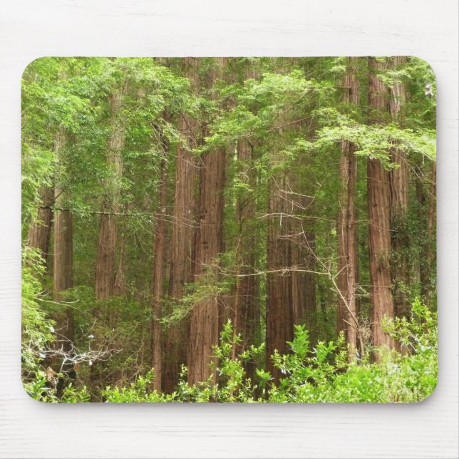 Redwood Trees at Muir Woods National Monument Mousepad (Vorne)