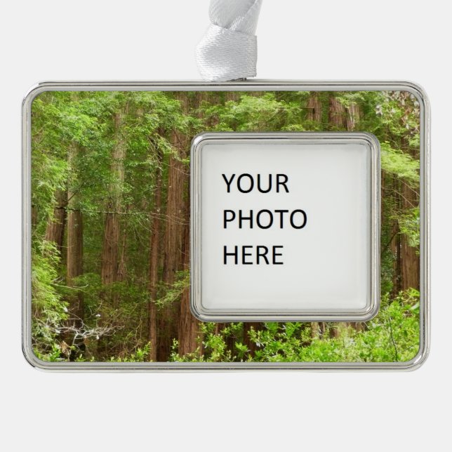 Redwood Trees at Muir Woods National Monument Rahmen-Ornament Silber (Vorderseite)