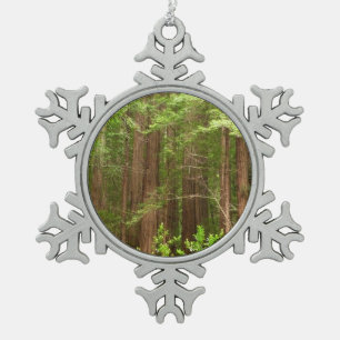 Redwood Trees at Muir Woods National Monument Schneeflocken Zinn-Ornament