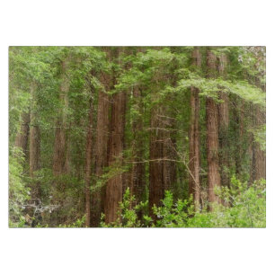 Redwood Trees at Muir Woods National Monument Schneidebrett