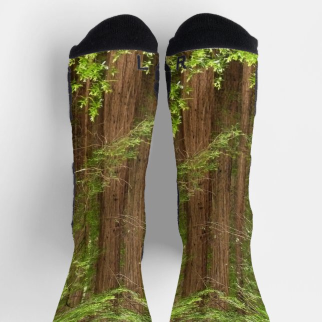 Redwood Trees at Muir Woods National Monument Socken (Oben)