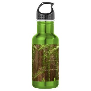 Redwood Trees at Muir Woods National Monument Trinkflasche