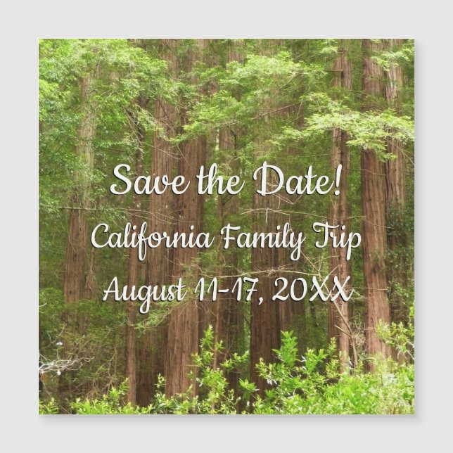Redwood Trees at Muir Woods Save the Date Magnetkarte (Vorderseite)