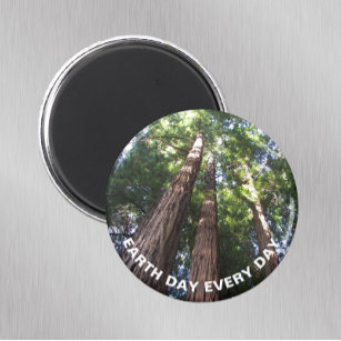 Redwood Trees Earth Day Magnet