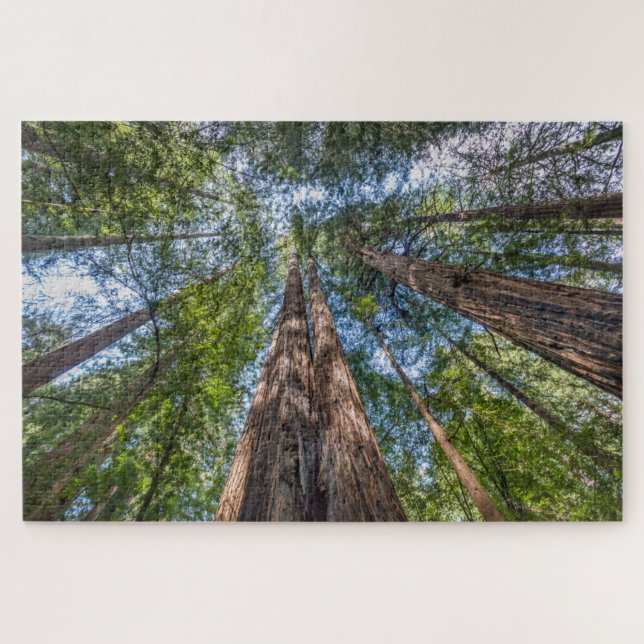 Redwood Trees | Marin Landkreis, Kalifornien Puzzle (Horizontal)