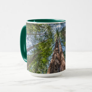 Redwood Trees   Marin Landkreis, Kalifornien Tasse