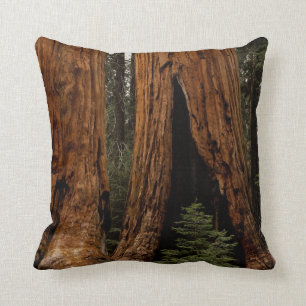 Redwood Trees, Sequoia Nationalpark. Kissen