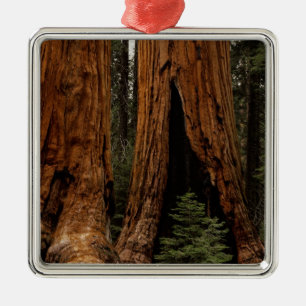 Redwood Trees, Sequoia Nationalpark. Ornament Aus Metall