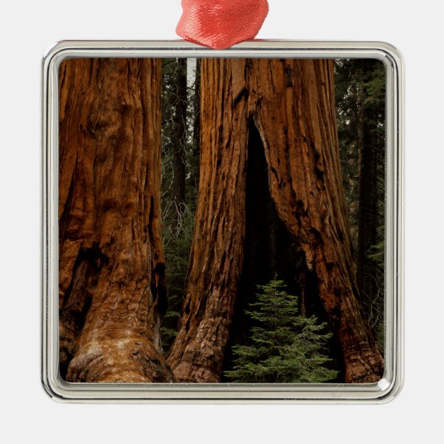 Redwood Trees, Sequoia Nationalpark. Ornament Aus Metall (Vorne)