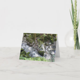 Redwoods Bach kaskadiert über Felsen notecard Dankeskarte