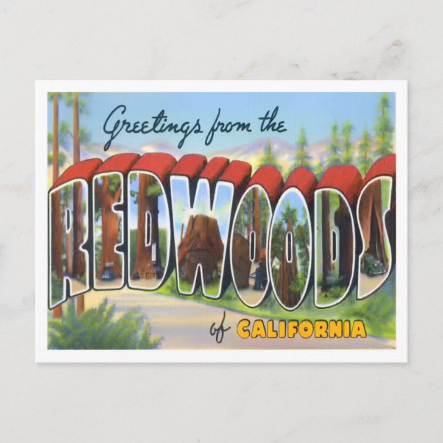 Redwoods, Kalifornien Vintage Big Briefe Postkarte (Vorderseite)