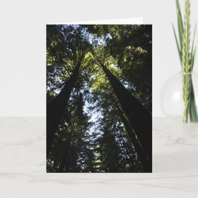 Redwoods Karte (Vorderseite)