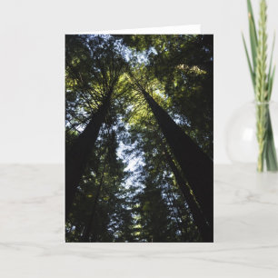 Redwoods Karte