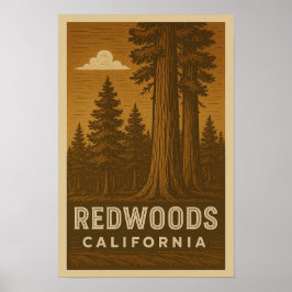 Redwoods National Park California Poster