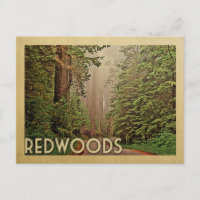 Redwoods National Park California
