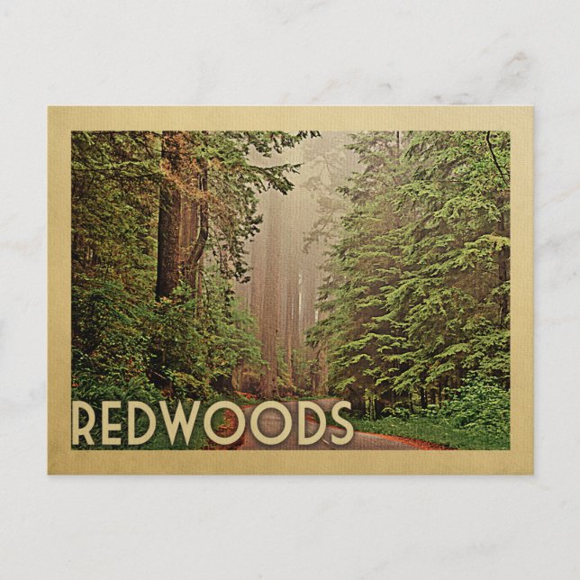 Redwoods National Park California Postkarte (Vorderseite)