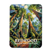 Redwoods Nationalpark Kalifornien Van Gogh Custom