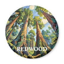 Redwoods Nationalpark Kalifornien Waldmalerei